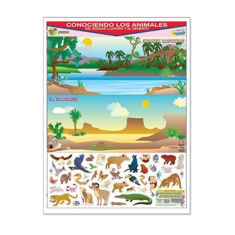 Póster Conociendo Los Animales del Bosque Lluvioso y  el Desierto