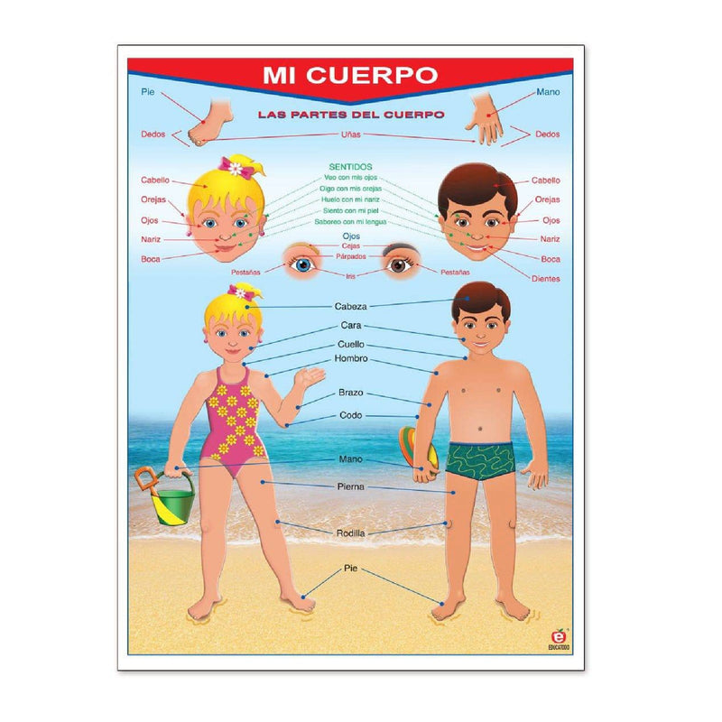Póster Mi Cuerpo / My Body