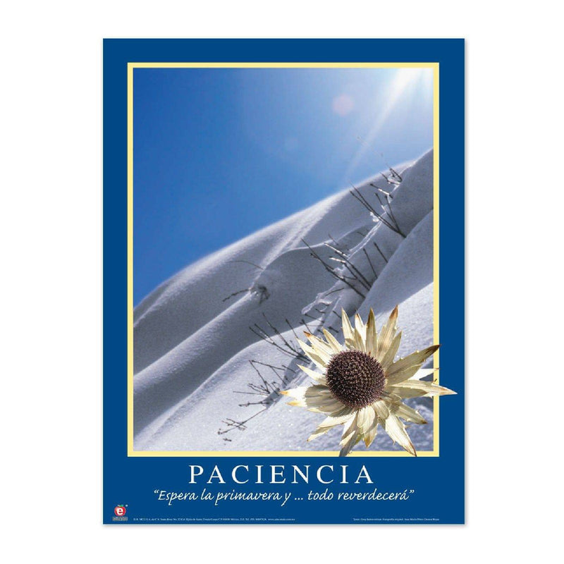 Póster Motivacional Paciencia