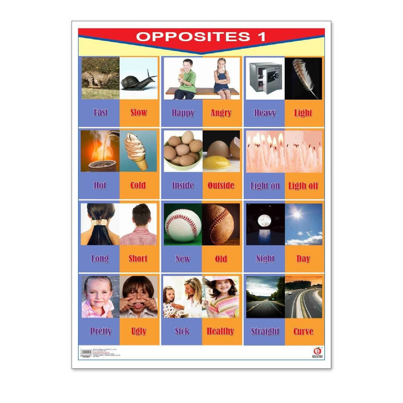 Póster Opposites 1 / Opposites 2