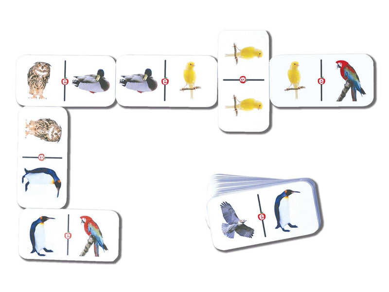 Dominó de Aves - Educatodo material didáctico y juegos educativos - Educatodo