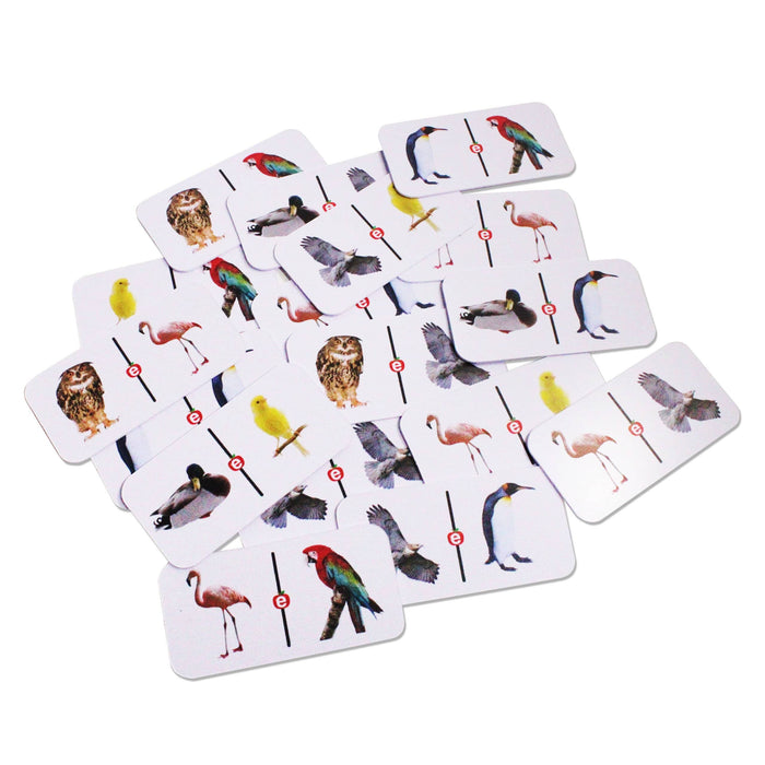 Dominó de Aves - Educatodo material didáctico y juegos educativos - Educatodo