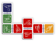 Dominó Gigante de Colores Aves - Educatodo material didáctico y juegos educativos - Educatodo