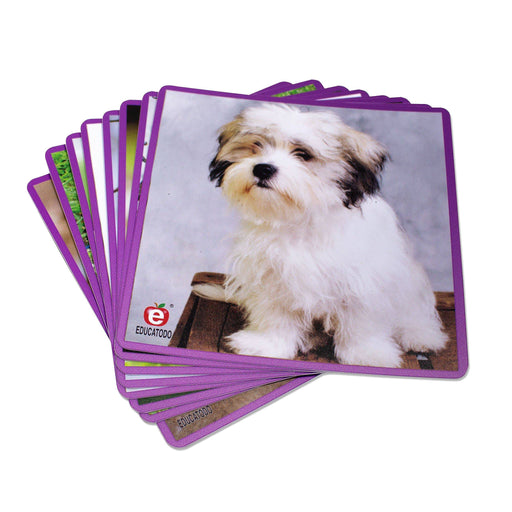 Super Mascotas - Educatodo material didáctico y juegos educativos - Educatodo