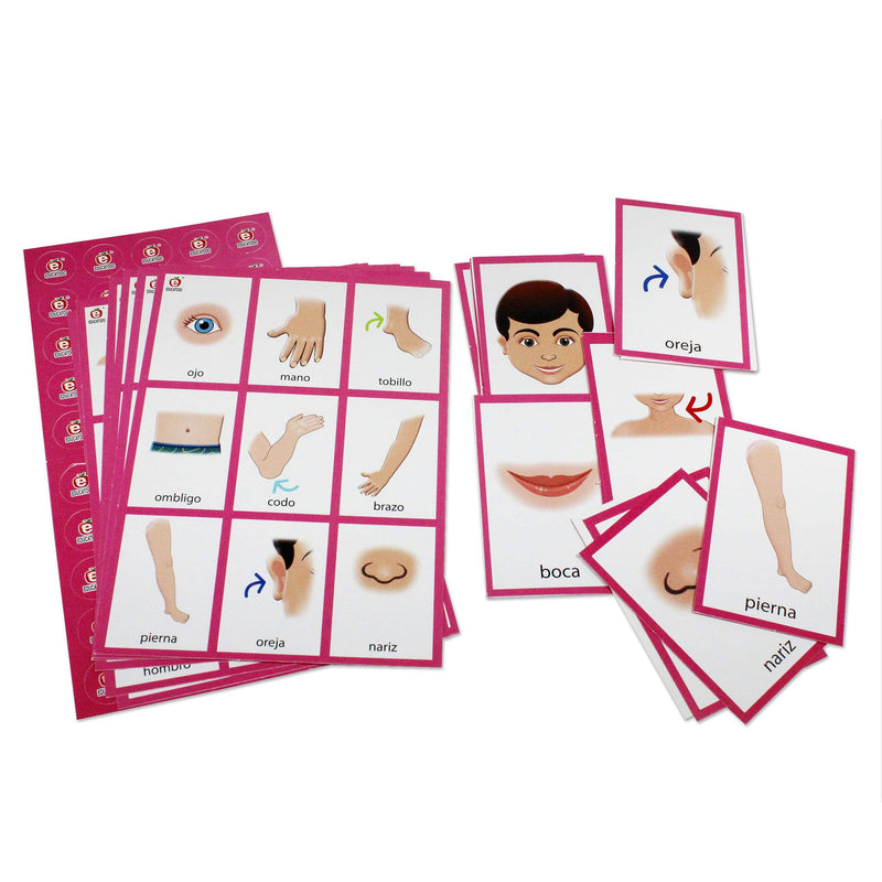 Lotería Arcoíris de Partes del Cuerpo Humano - Educatodo material didáctico y juegos educativos - Educatodo
