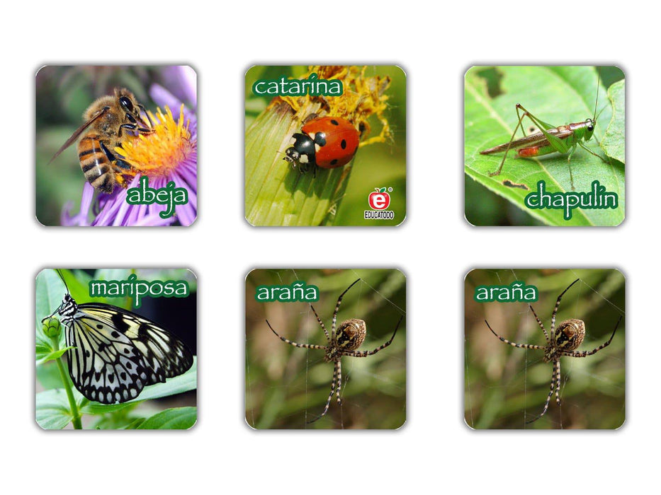 Memopares de Insectos - Educatodo material didáctico y juegos educativos - Educatodo