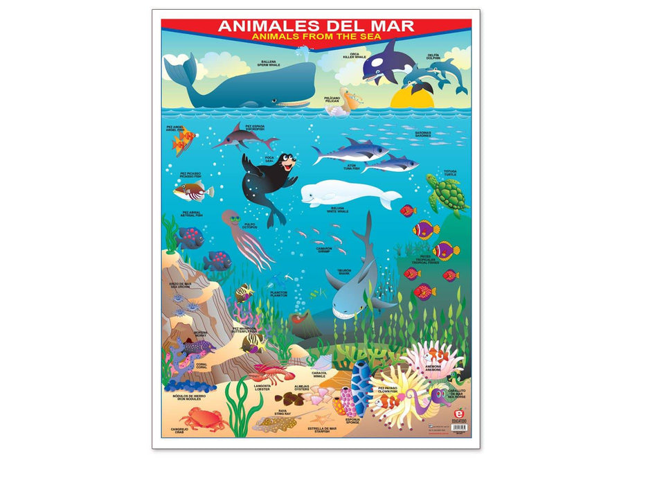 Póster Animales del Mar - Educatodo material didáctico y juegos educativos - Educatodo