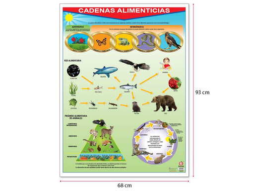 Póster Cadenas Alimenticias - Educatodo material didáctico y juegos educativos - Educatodo