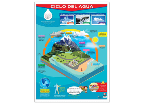 Póster Ciclo del Agua - Educatodo material didáctico y juegos educativos - Educatodo