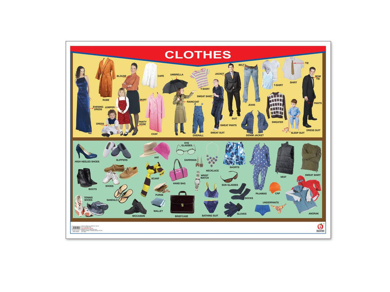 Póster Clothes/Family Tree - Educatodo material didáctico y juegos educativos - Educatodo