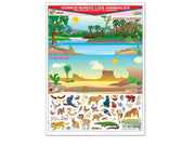 Póster Conociendo Los Animales del Bosque Lluvioso y  el Desierto - Educatodo material didáctico y juegos educativos - Educatodo
