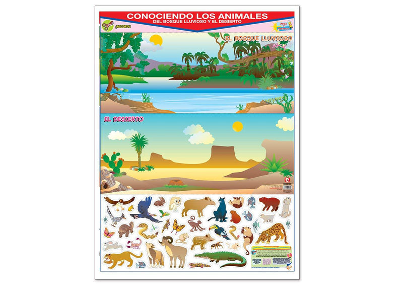 Póster Conociendo Los Animales del Bosque Lluvioso y  el Desierto - Educatodo material didáctico y juegos educativos - Educatodo