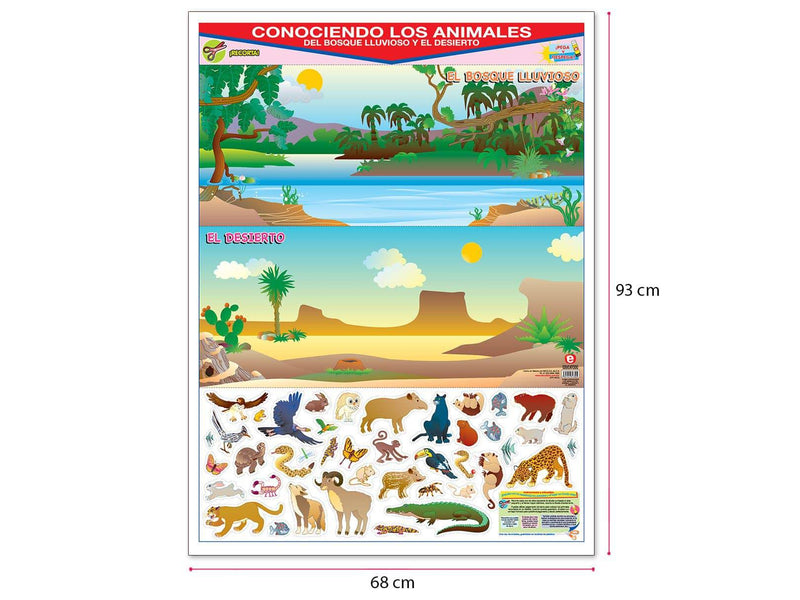 Póster Conociendo Los Animales del Bosque Lluvioso y  el Desierto - Educatodo material didáctico y juegos educativos - Educatodo