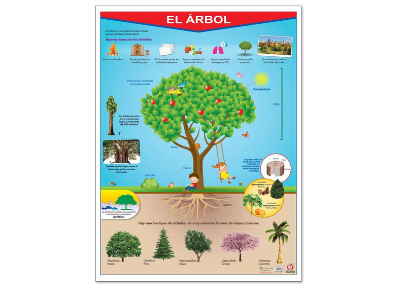 Póster El Árbol - Educatodo material didáctico y juegos educativos - Educatodo