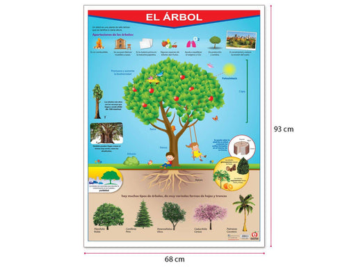 Póster El Árbol - Educatodo material didáctico y juegos educativos - Educatodo