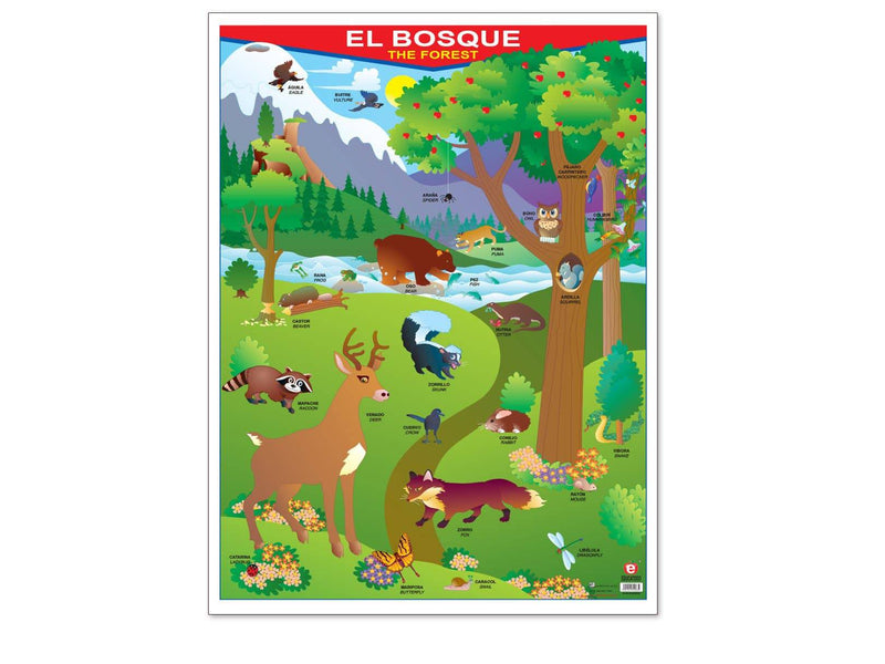 Póster El Bosque - Educatodo material didáctico y juegos educativos - Educatodo