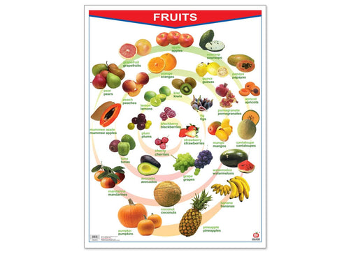 Póster Fruits/Vegetables - Educatodo material didáctico y juegos educativos - Educatodo