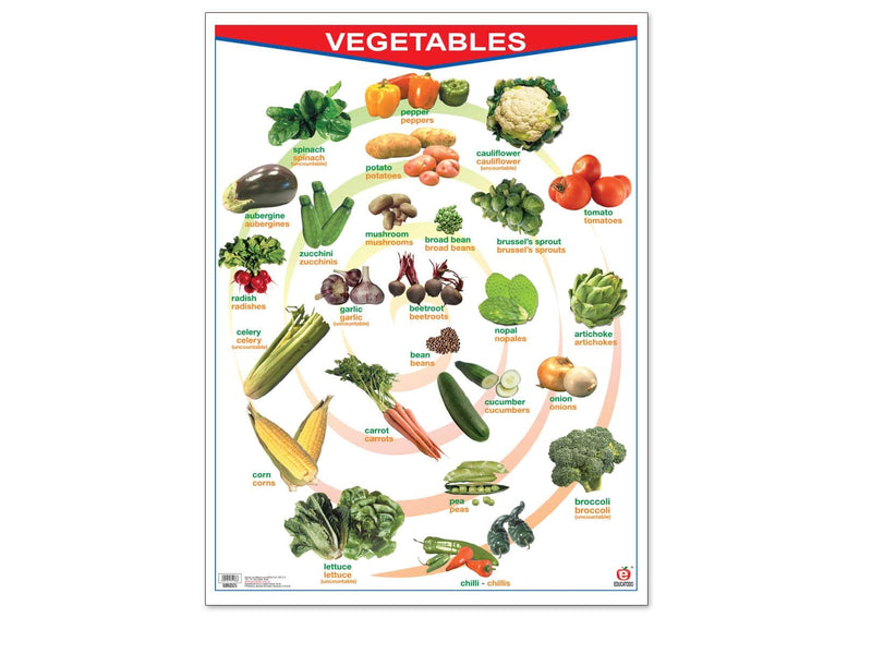 Póster Fruits/Vegetables - Educatodo material didáctico y juegos educativos - Educatodo