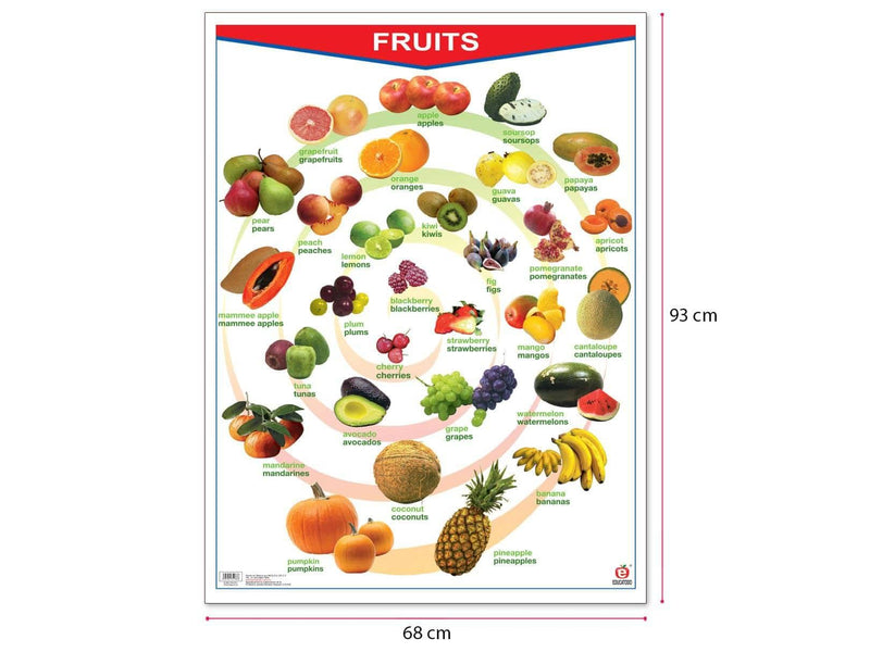 Póster Fruits/Vegetables - Educatodo material didáctico y juegos educativos - Educatodo