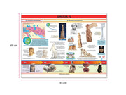 Póster Grecia IV - Educatodo material didáctico y juegos educativos - Educatodo