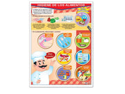 Póster Higiene de los Alimentos - Educatodo material didáctico y juegos educativos - Educatodo