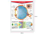 Póster La Vista - Educatodo material didáctico y juegos educativos - Educatodo