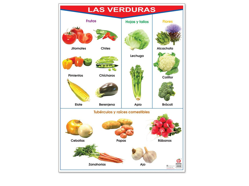 Póster Las Verduras - Educatodo material didáctico y juegos educativos - Educatodo