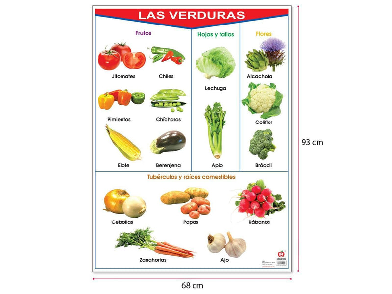 Póster Las Verduras - Educatodo material didáctico y juegos educativos - Educatodo