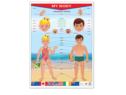 Póster Mi Cuerpo / My Body - Educatodo material didáctico y juegos educativos - Educatodo