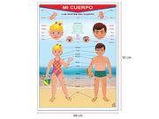 Póster Mi Cuerpo / My Body - Educatodo material didáctico y juegos educativos - Educatodo