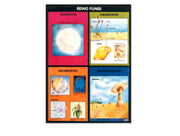 Póster Reino Fungi / Protista - Educatodo material didáctico y juegos educativos - Educatodo