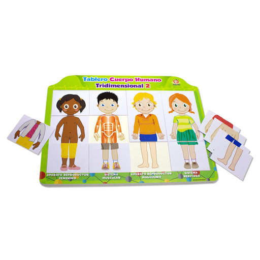 Tablero Cuerpo Humano Tridimensional 2 Nuevo Diseño - Educatodo material didáctico y juegos educativos - Educatodo