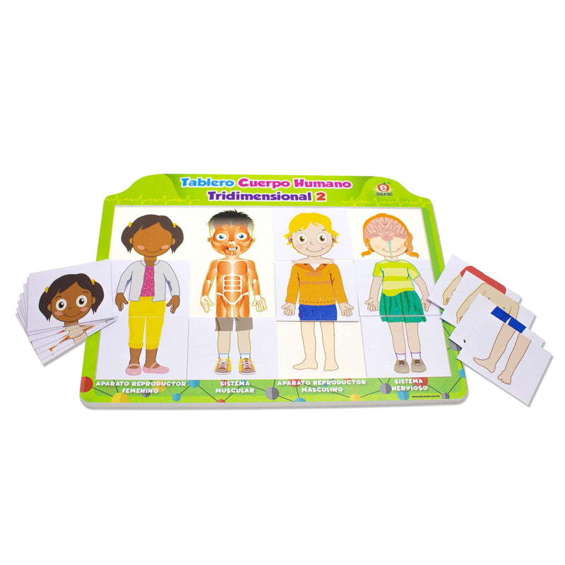 Tablero Cuerpo Humano Tridimensional 2 Nuevo Diseño - Educatodo material didáctico y juegos educativos - Educatodo
