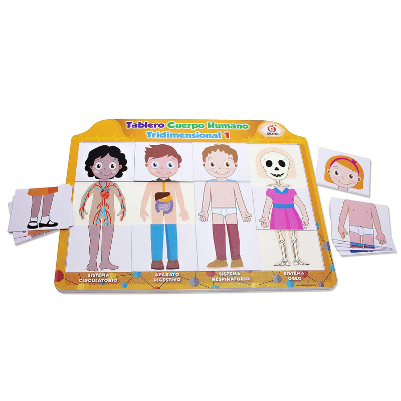 Tablero Cuerpo Humano Tridimensional - Educatodo material didáctico y juegos educativos - Educatodo